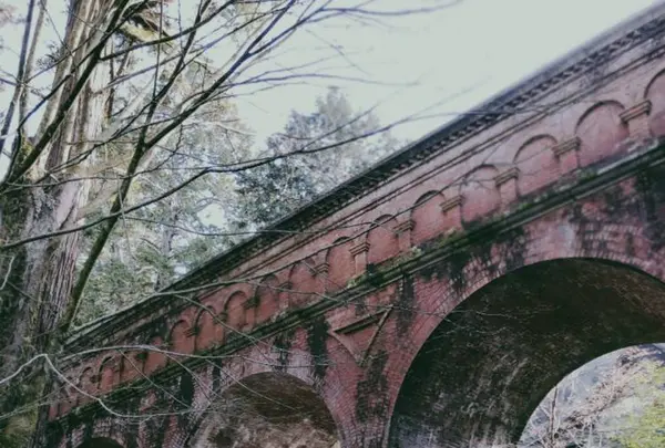 南禅寺の写真・動画_image_247694