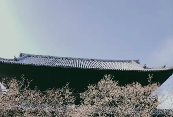 南禅寺の写真・動画_image_247695