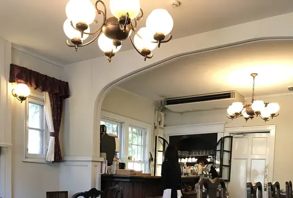えの木ていの写真・動画_image_247702