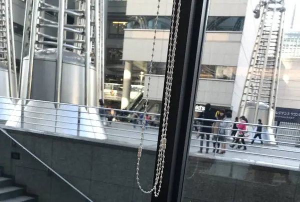 Shake Shack みなとみらい店（シェイクシャック みなとみらい店）の写真・動画_image_247704