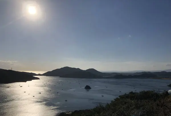 四方見展望台の写真・動画_image_247744