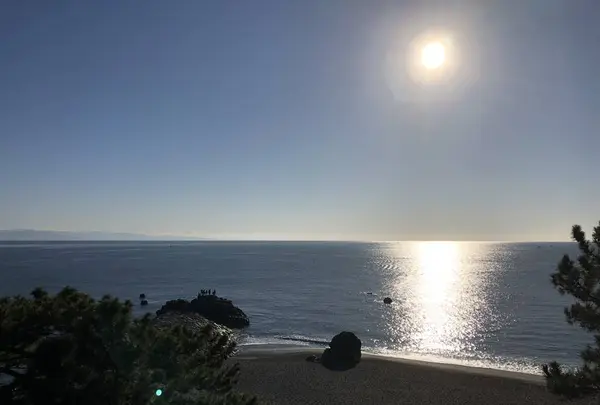 桂浜の写真・動画_image_247748