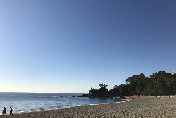 桂浜の写真・動画_image_247750