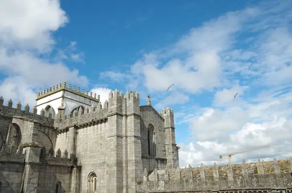 ポルト大聖堂(Porto Cathedral)の写真・動画_image_247895