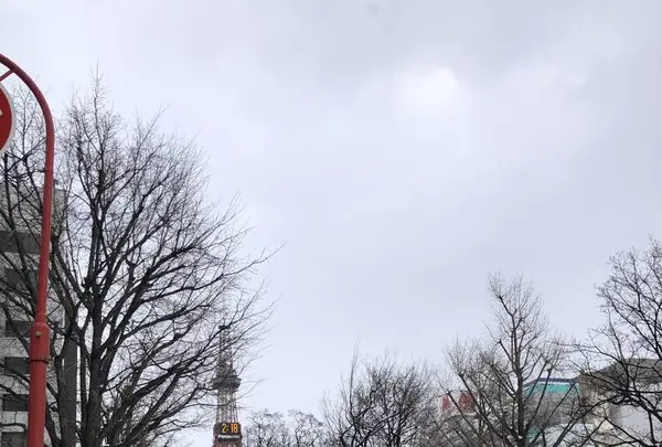 札幌市時計台の写真・動画_image_248049