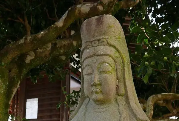 大覚寺の写真・動画_image_248140