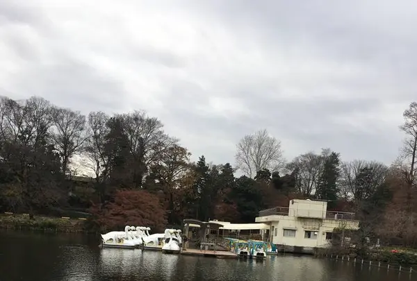 井の頭恩賜公園の写真・動画_image_248469