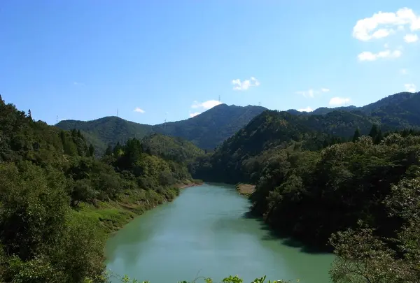 大野虹の湖歩道橋の写真・動画_image_248743