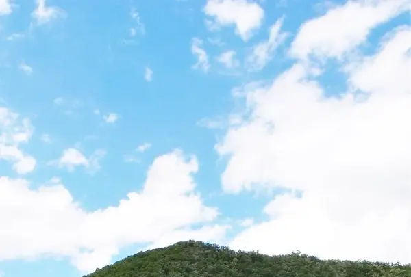 向山橋の写真・動画_image_248761