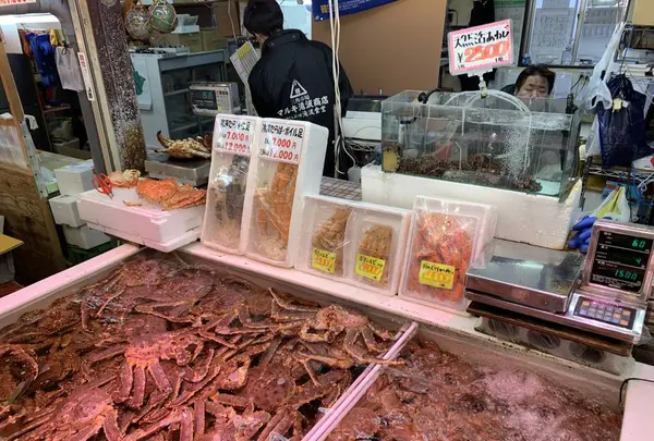 三角市場の写真・動画_image_248915