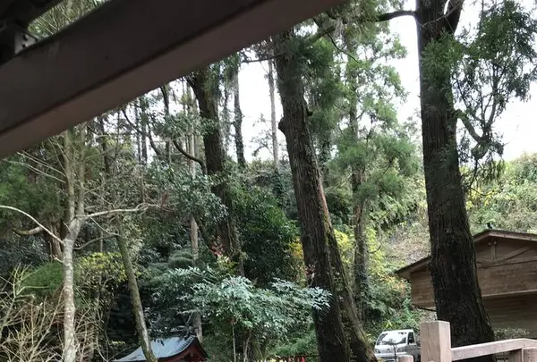 唐船峡そうめん流し市営の写真・動画_image_248954