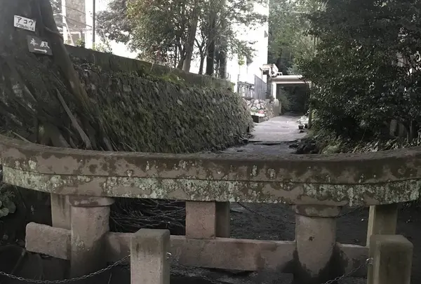 黒神埋没鳥居の写真・動画_image_249020