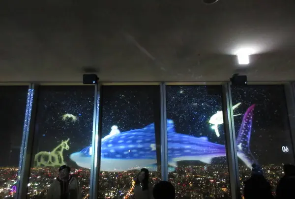SKY GARDEN 300の写真・動画_image_249045