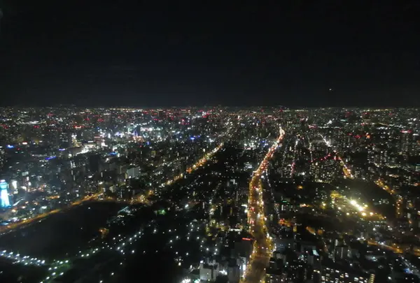 SKY GARDEN 300の写真・動画_image_249049