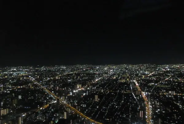 SKY GARDEN 300の写真・動画_image_249051