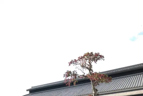 尚古集成館の写真・動画_image_249055