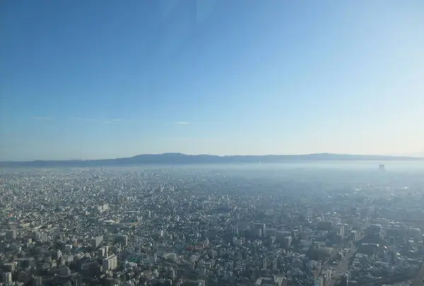 SKY GARDEN 300の写真・動画_image_249061