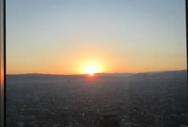 SKY GARDEN 300の写真・動画_image_249062