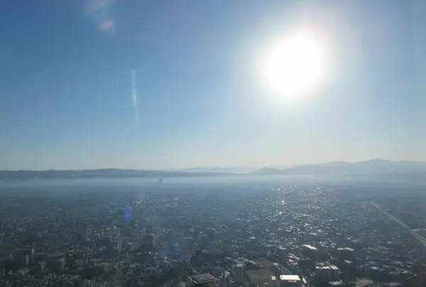 SKY GARDEN 300の写真・動画_image_249063