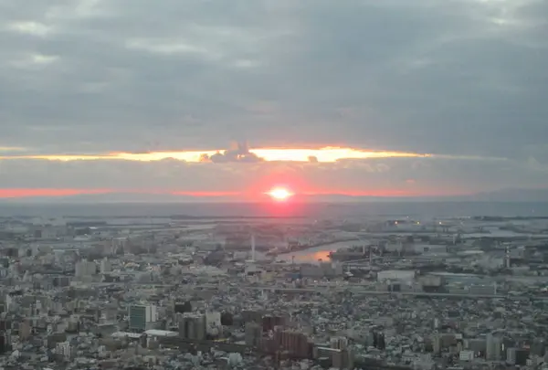 SKY GARDEN 300の写真・動画_image_249077