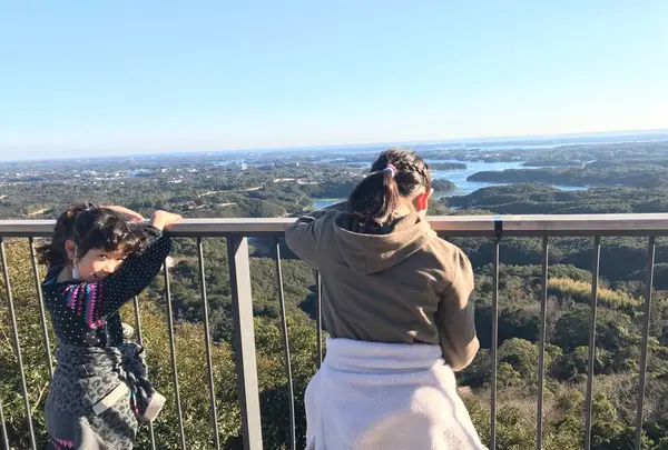 横山展望台の写真・動画_image_249146