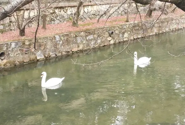 大原美術館の写真・動画_image_249245