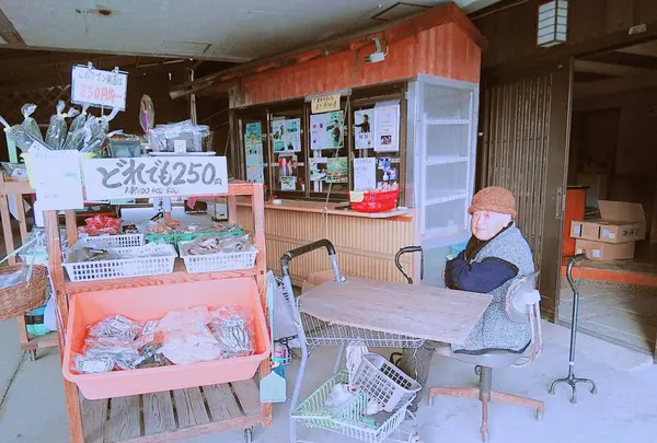 吉又商店の写真・動画_image_249283