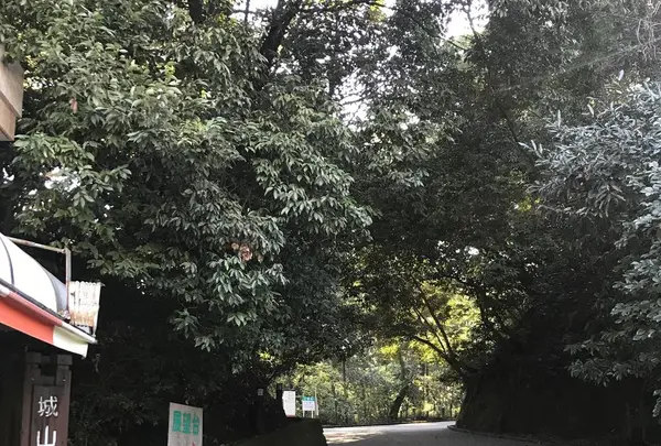 城山展望台の写真・動画_image_249331