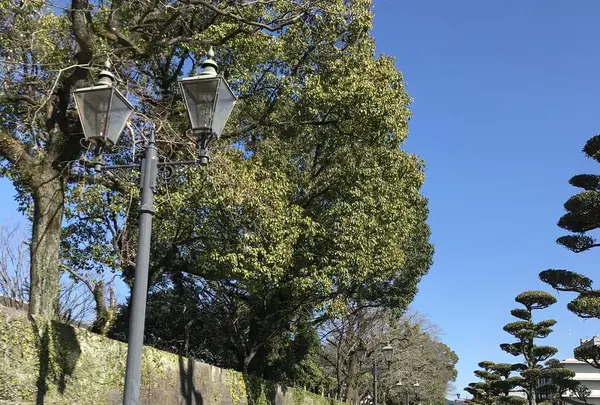 鶴丸城跡の写真・動画_image_249391
