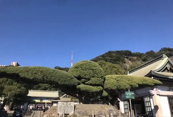 照国神社の写真・動画_image_249397
