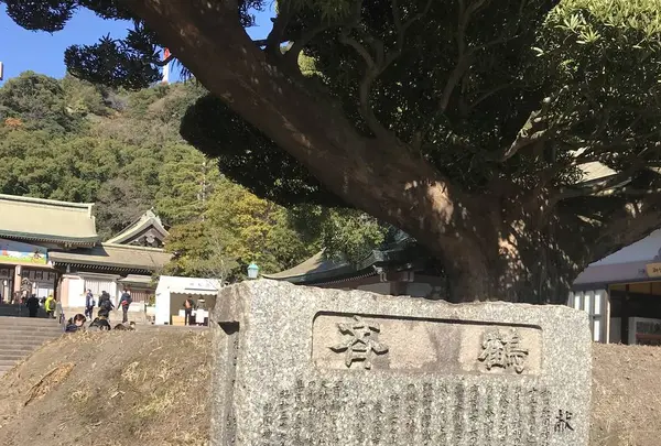照国神社の写真・動画_image_249398