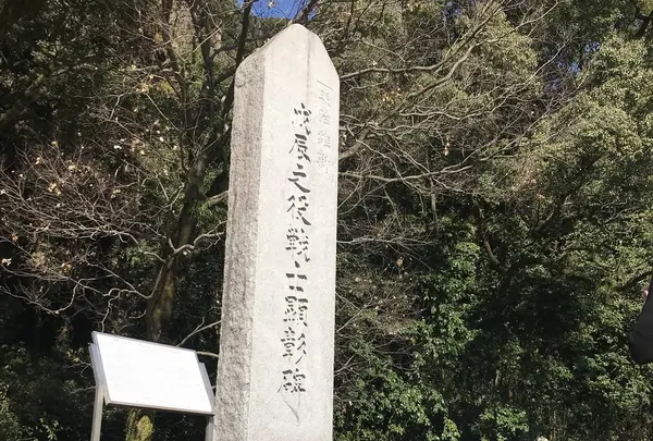 照国神社の写真・動画_image_249400