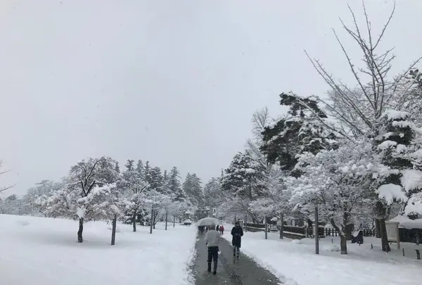 米沢城址の写真・動画_image_249449