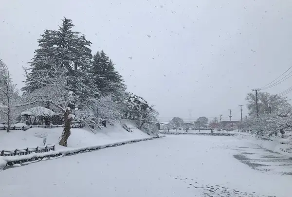 米沢城址の写真・動画_image_249482