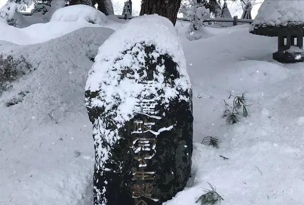 米沢城址の写真・動画_image_249489