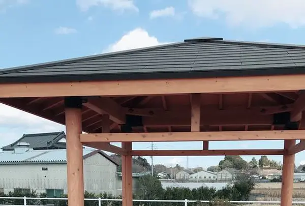 霞ヶ浦の写真・動画_image_249512