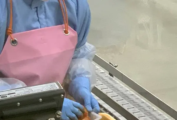 博多の食と文化の博物館「ハクハク」の写真・動画_image_249659
