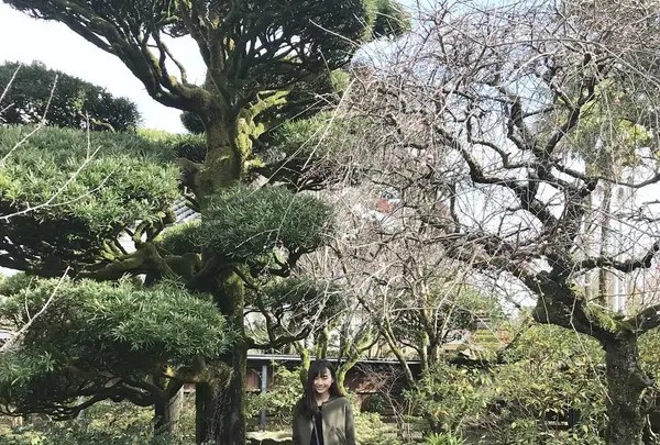 沈壽官窯の写真・動画_image_249795