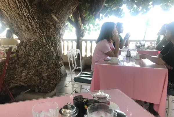 ハウ ツリー ラナイの写真・動画_image_249799