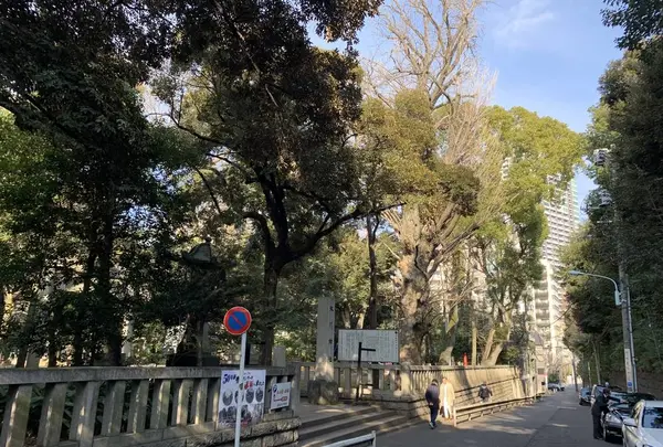 赤坂氷川神社の写真・動画_image_249875
