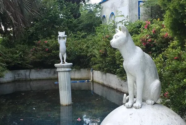 猫の博物館の写真・動画_image_250078