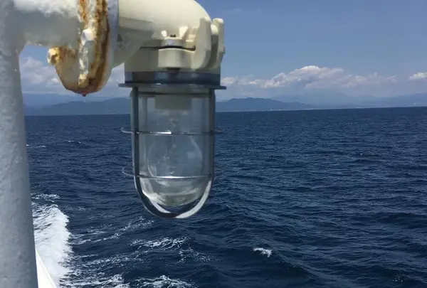 駿河湾フェリー（土肥）の写真・動画_image_250090