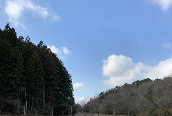 大正池の写真・動画_image_250131