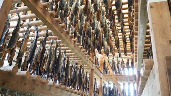 永徳 鮭乃蔵の写真・動画_image_250171