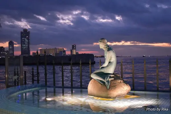 海遊館の写真・動画_image_250214