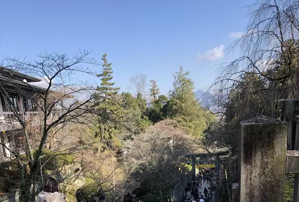 金刀比羅宮（こんぴらさん）の写真・動画_image_250242