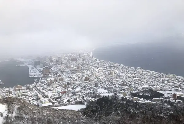 函館山の写真・動画_image_250345