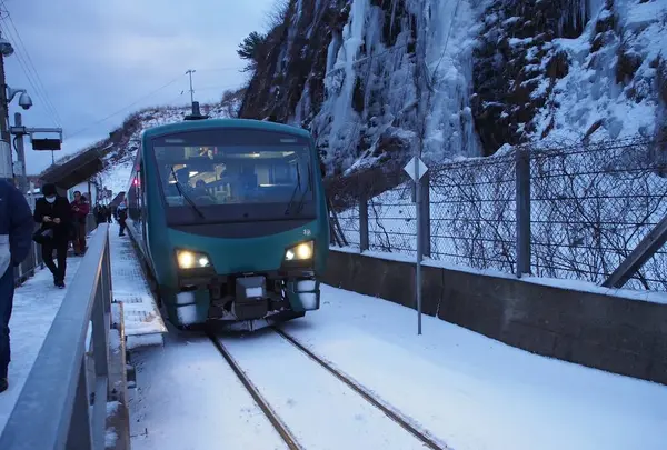 千畳敷の写真・動画_image_250354