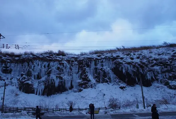 千畳敷の写真・動画_image_250355