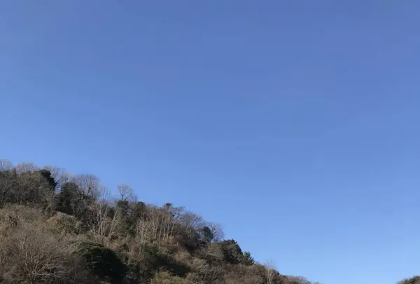 永福寺跡の写真・動画_image_250384